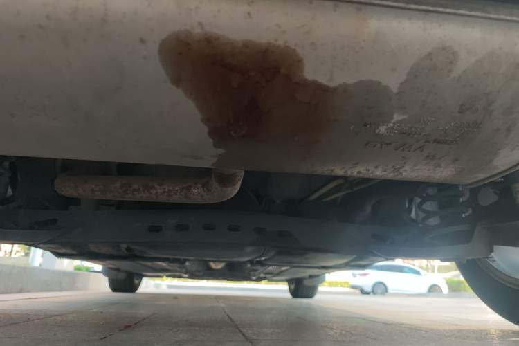 Used Volkswagen Golf 2016 230TSI Automatic Comfort Version Chassis Rear