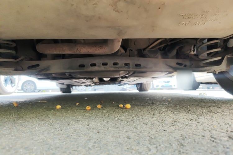 Used Volkswagen Golf 2016 230TSI Automatic Comfort Version Chassis Rear