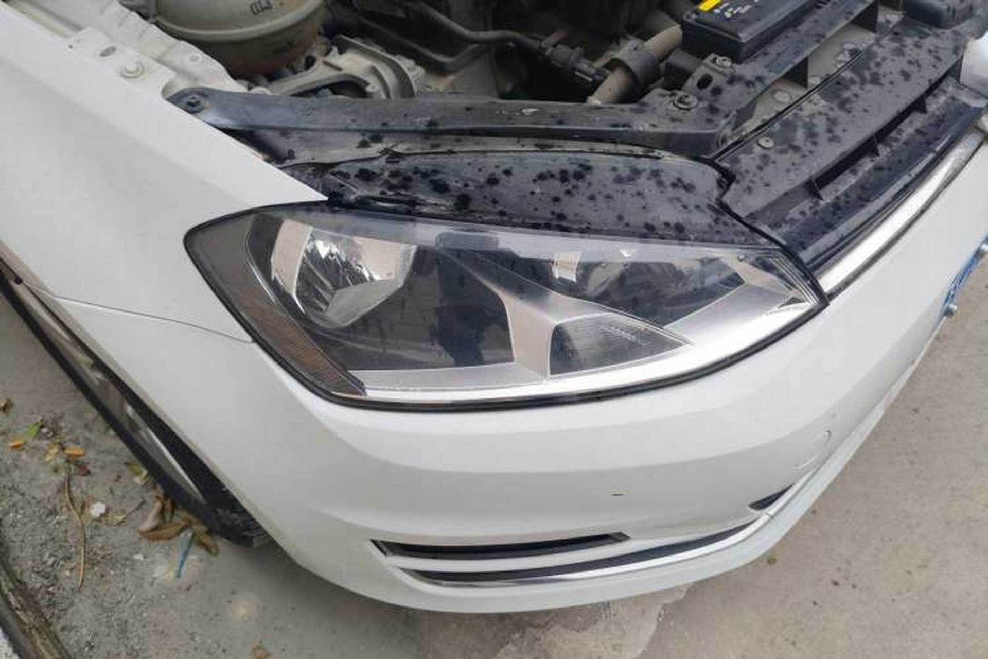 Used Volkswagen Golf 2016 1.6L Automatic Comfort Model Right Front Headlight