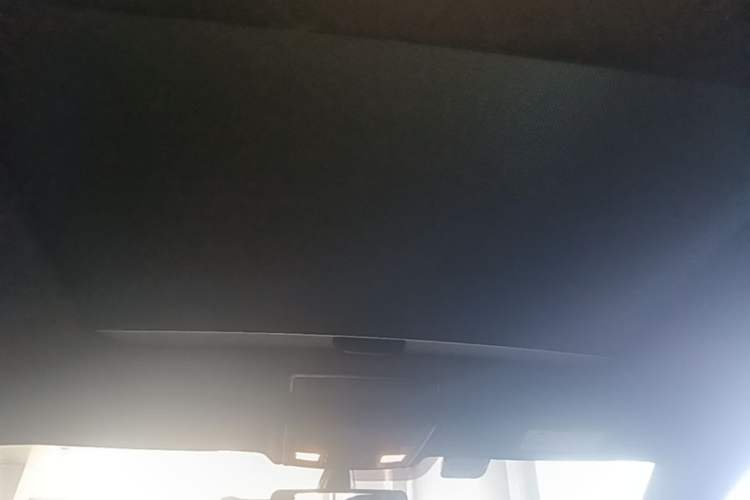 Used Volkswagen Golf 2017 280TSI Automatic R-Line Million-Vehicle Commemorative Edition Headliner