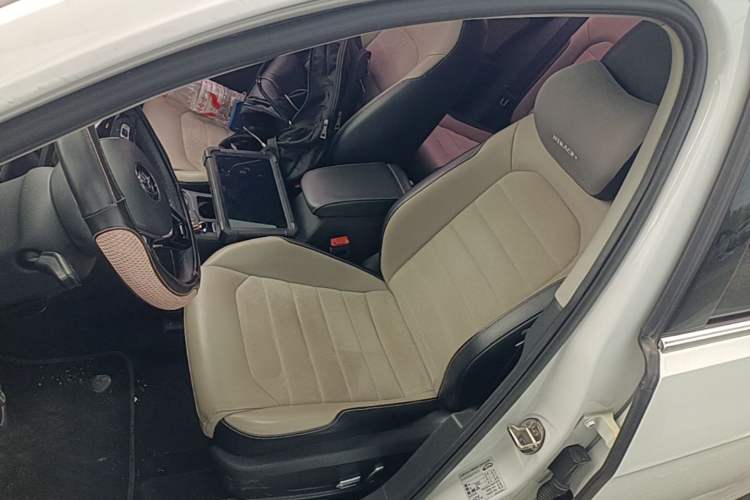 Used Volkswagen Golf 2017 230TSI Automatic Luxury Million-Vehicle Commemorative Edition Left Front Seat
