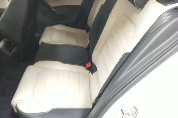 Used Volkswagen Golf 2017 230TSI Automatic Luxury Million-Vehicle Commemorative Edition Left Rear Seat