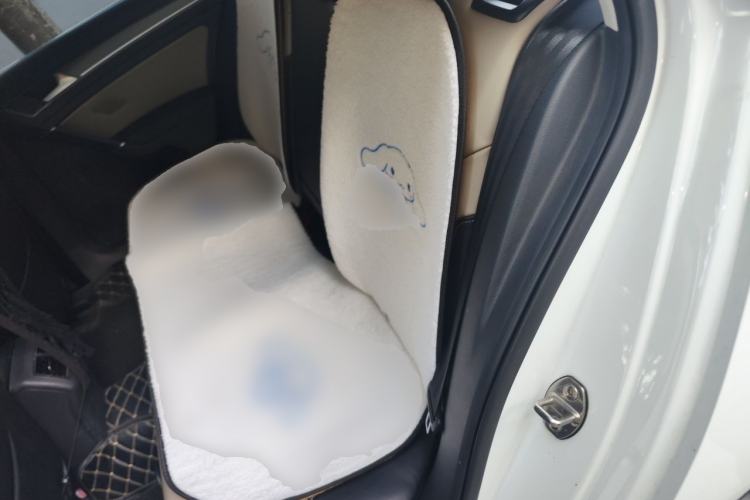 Used Volkswagen Golf 2017 230TSI Automatic Luxury Million-Vehicle Commemorative Edition Left Rear Seat