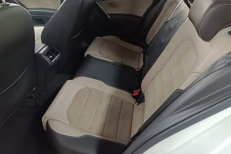 Used Volkswagen Golf 2017 230TSI Automatic Luxury Million-Vehicle Commemorative Edition Left Rear Seat
