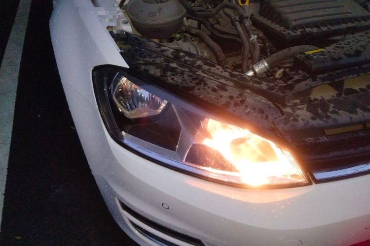 Used Volkswagen Golf 2017 230TSI Automatic Comfort Edition – Celebrating Milestone of One Million Units Right Front Headlight