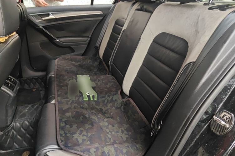 Used Volkswagen Golf 2018 280TSI Automatic R-Line Model Left Rear Seat