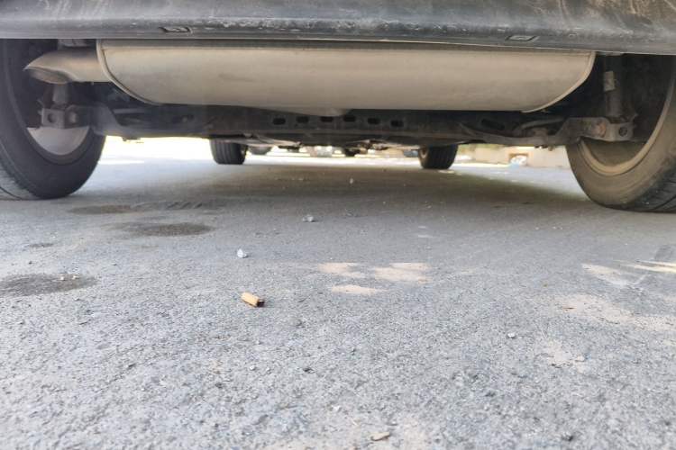 Used Volkswagen Golf 2018 1.6L Automatic Fashion Model Chassis Rear