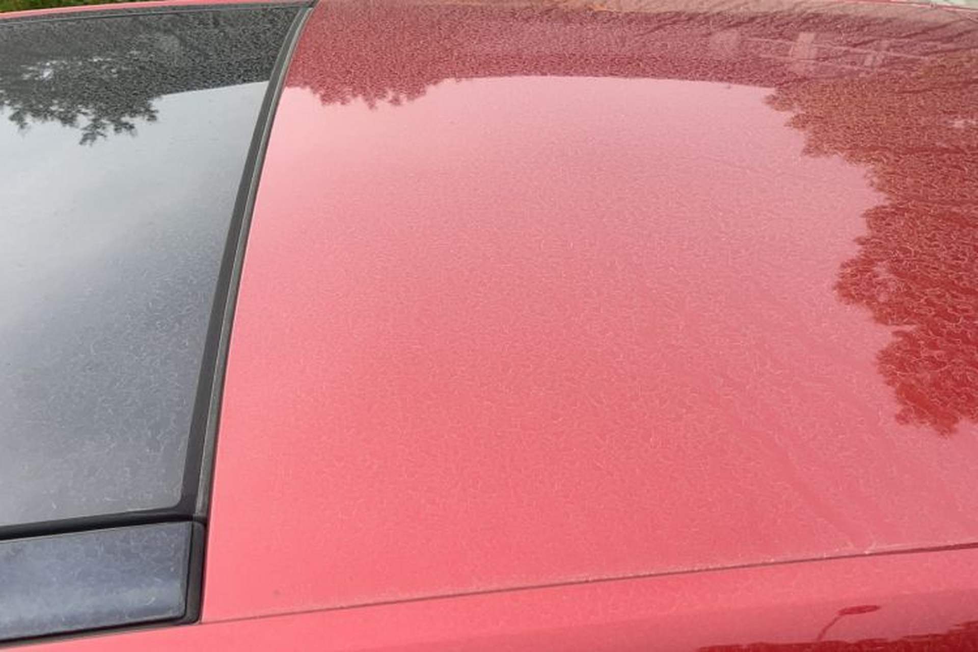 Used Volkswagen Golf 2018 1.6L Automatic Comfort Model Roof