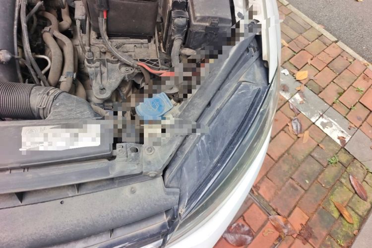 Used Volkswagen Golf 2018 230TSI Automatic Comfort Model Engine Bay Left