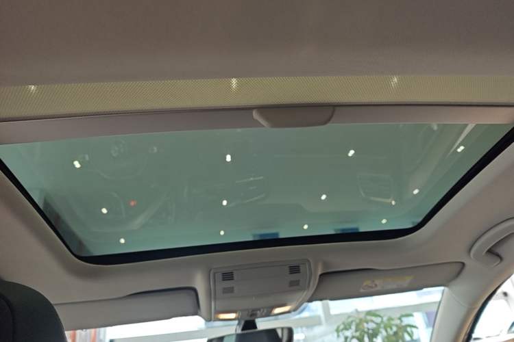 Used Volkswagen Golf 2018 230TSI Automatic Luxury Version Headliner