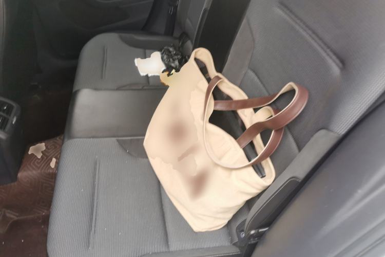 Used Volkswagen Golf 2018 230TSI Automatic Comfort Model Left Rear Seat
