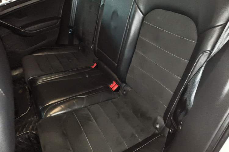 Used Volkswagen Golf 2018 230TSI Automatic Luxury Version Left Rear Seat