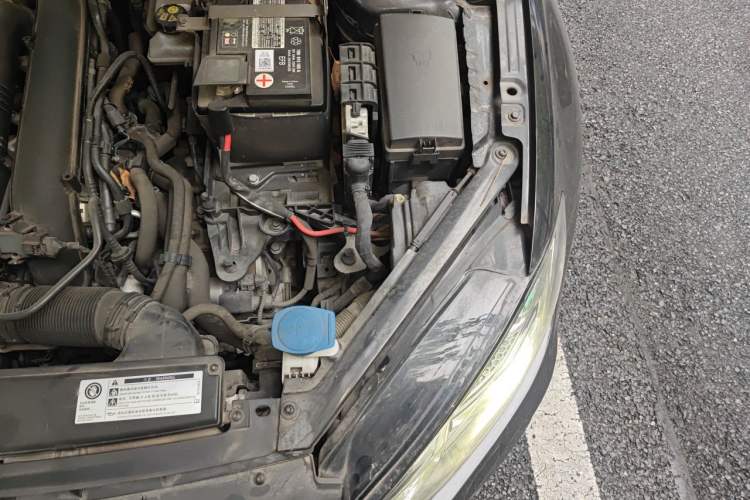 Used Volkswagen Golf 2019 280TSI DSG R-Line China VI Standard Engine Bay Left