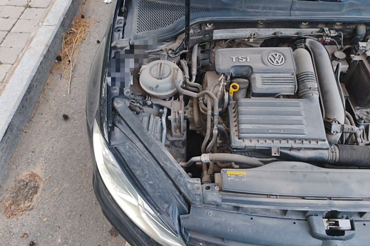 Used Volkswagen Golf 2019 280TSI DSG R-Line Model China V Standard Engine Bay Right