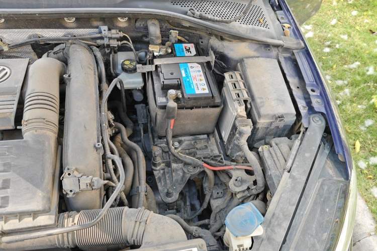 Used Volkswagen Golf 2019 280TSI DSG R-Line China VI Standard Engine Bay Left