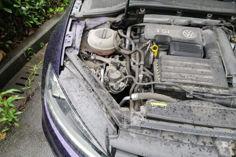 Used Volkswagen Golf 2019 280TSI DSG Comfort Version China VI Standard Engine Bay Right