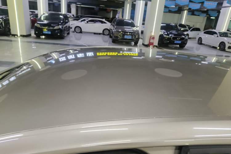Used Volkswagen Golf 2019 1.6L Automatic Fashion Model China V Standard Roof