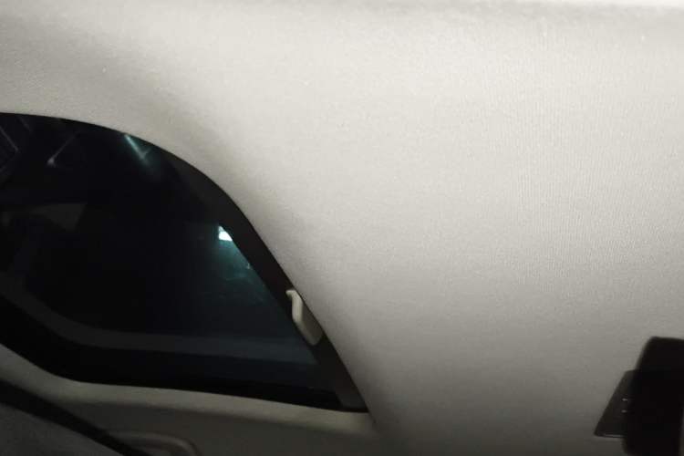 Used Volkswagen Golf 2019 280TSI DSG Comfort Version China V Standard Headliner