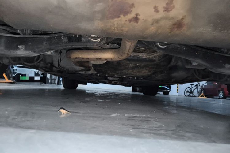 Used Volkswagen Golf 2019 280TSI DSG R-Line China VI Standard Chassis Rear