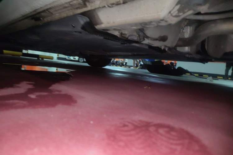 Used Volkswagen Golf 2019 280TSI DSG Comfort Version China V Standard Chassis Rear Left