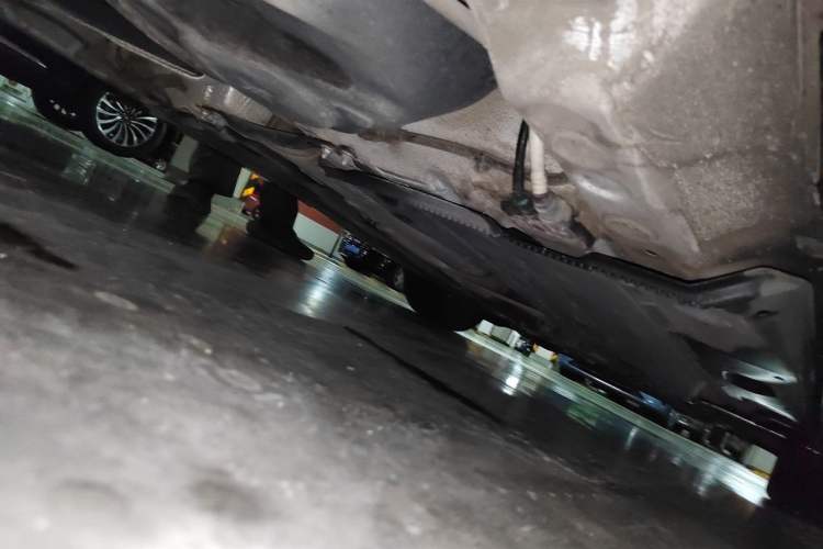 Used Volkswagen Golf 2019 280TSI DSG Comfort Version China VI Standard Chassis Rear Right