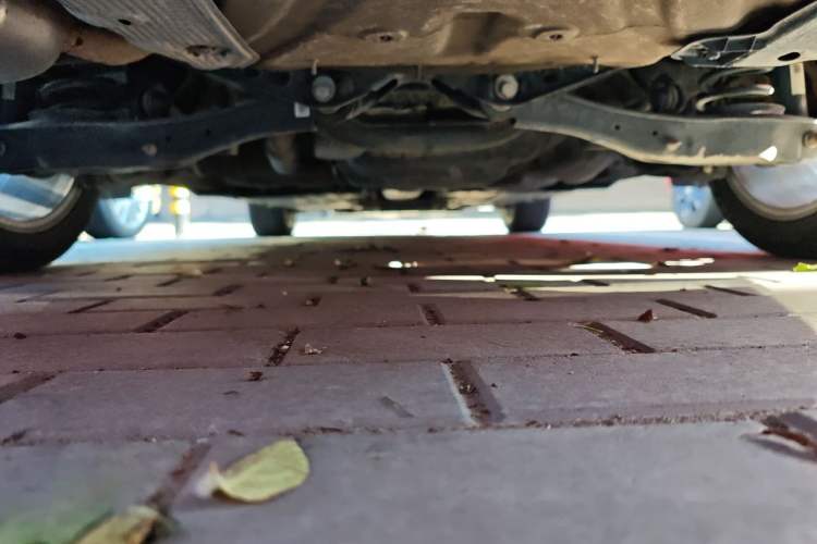 Used Volkswagen Golf 2019 1.8TSI Travel Edition Chassis Rear