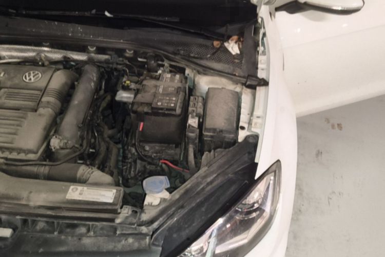 Used Volkswagen Golf 2019 280TSI DSG R-Line China VI Standard Engine Bay Left