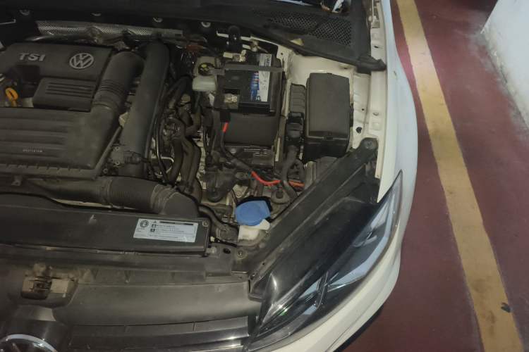 Used Volkswagen Golf 2019 280TSI DSG R-Line Model China V Standard Engine Bay Left