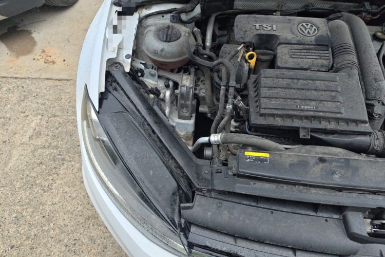 Used Volkswagen Golf 2019 280TSI DSG Comfort Version China V Standard Engine Bay Right