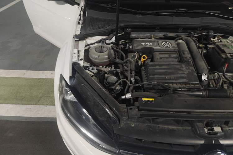 Used Volkswagen Golf 2019 280TSI DSG Comfort Version China VI Standard Engine Bay Right