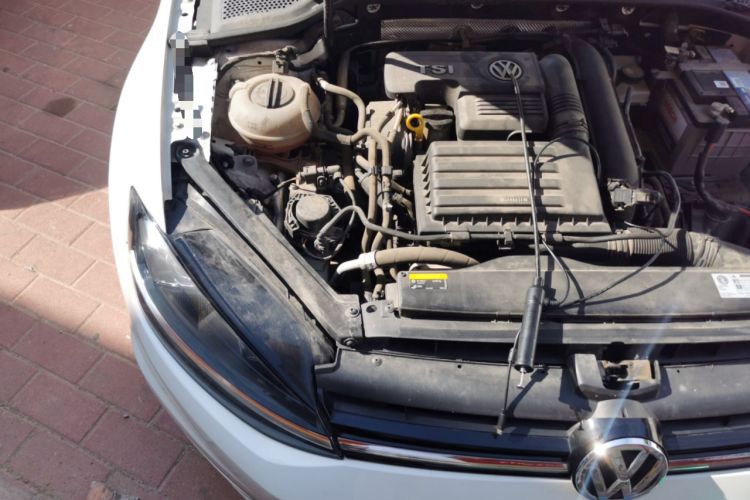 Used Volkswagen Golf 2019 280TSI DSG Comfort Version China VI Standard Engine Bay Right