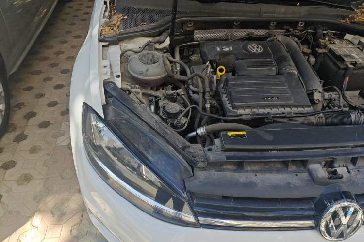 Used Volkswagen Golf 2019 280TSI DSG Comfort Version China V Standard Engine Bay Right
