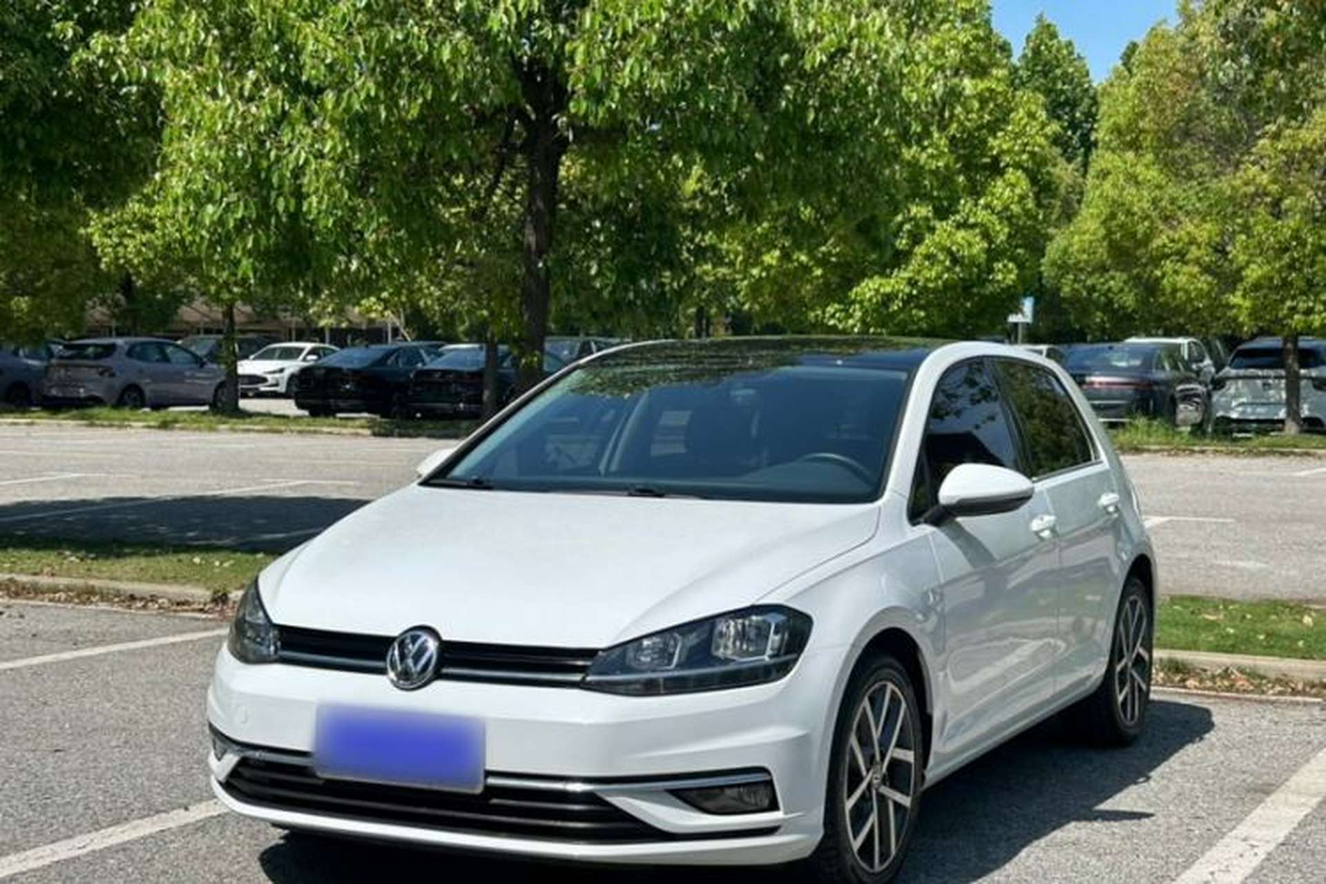 Used Volkswagen Golf 2019 280TSI DSG Luxury Version China V Standard Front Left 45 Deg