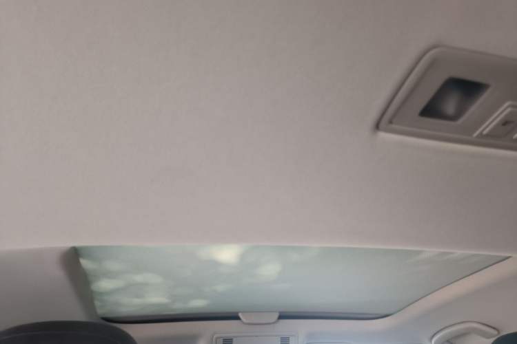 Used Volkswagen Golf 2019 280TSI DSG Luxury Version China VI Standard Headliner