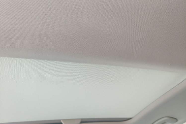 Used Volkswagen Golf 2019 280TSI DSG Comfort Version China VI Standard Headliner