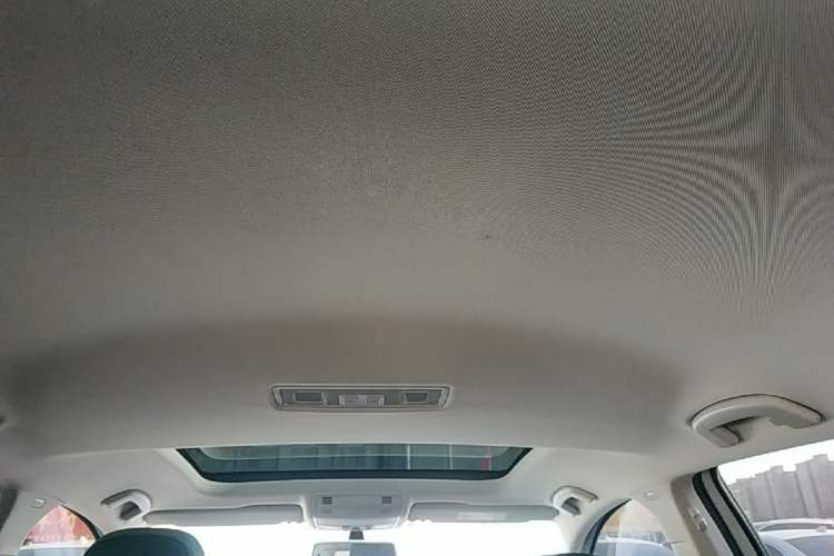 Used Volkswagen Golf 2019 280TSI DSG Comfort Version China V Standard Headliner