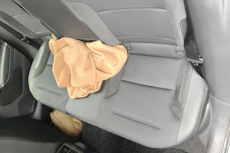 Used Volkswagen Golf 2019 280TSI DSG Comfort Version China VI Standard Left Rear Seat