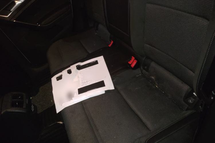 Used Volkswagen Golf 2019 280TSI DSG Comfort Version China V Standard Left Rear Seat