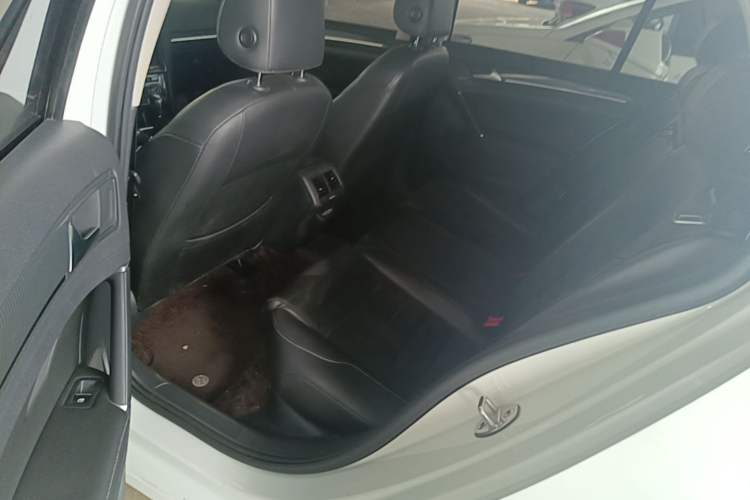 Used Volkswagen Golf 2019 280TSI DSG Luxury Version China VI Standard Left Rear Seat