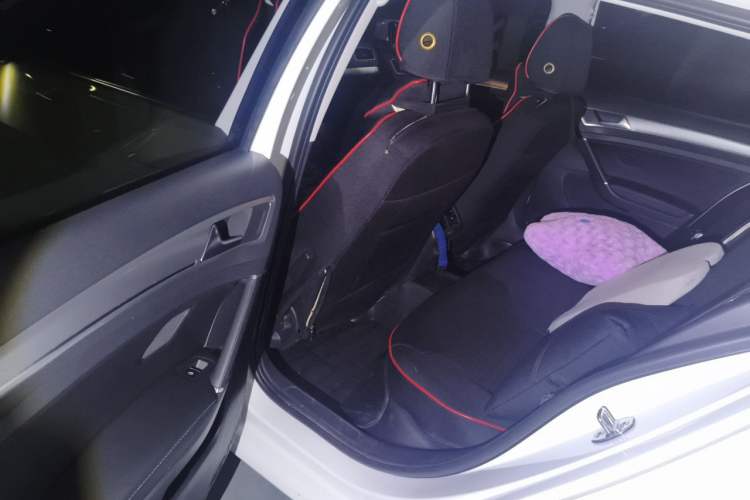 Used Volkswagen Golf 2019 280TSI DSG Comfort Version China VI Standard Left Rear Seat