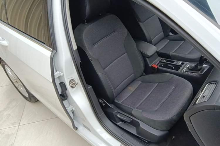 Used Volkswagen Golf 2019 1.6L Automatic Comfort Model China V Standard Right Front Seat