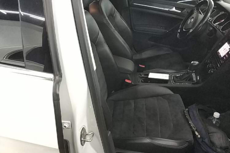 Used Volkswagen Golf 2019 280TSI DSG Luxury Version China V Standard Right Front Seat