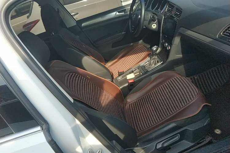 Used Volkswagen Golf 2019 280TSI DSG Comfort Version China V Standard Right Front Seat