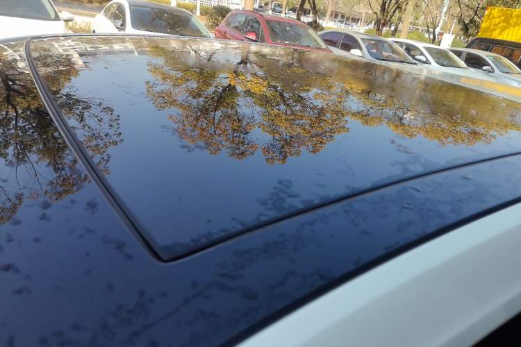 Used Volkswagen Golf 2019 1.6L Automatic Comfort Model China V Standard Roof