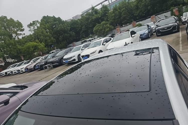 Used Volkswagen Golf 2019 280TSI DSG Comfort Version China V Standard Roof
