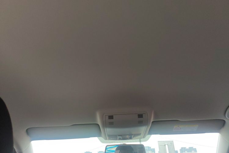 Used Volkswagen Golf 2019 1.6L Automatic Fashion Model China V Standard Headliner