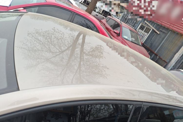 Used Volkswagen Golf 2019 1.6L Automatic Fashion Model China V Standard Roof