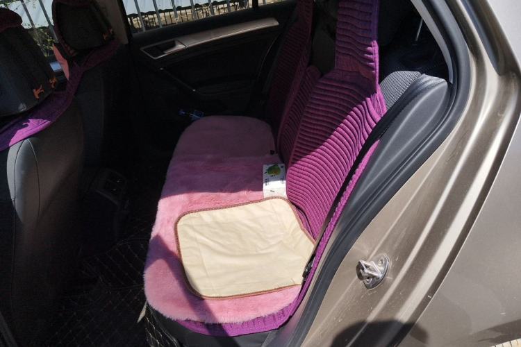Used Volkswagen Golf 2020 Zhiai Edition 280TSI DSG Comfort Model Left Rear Seat