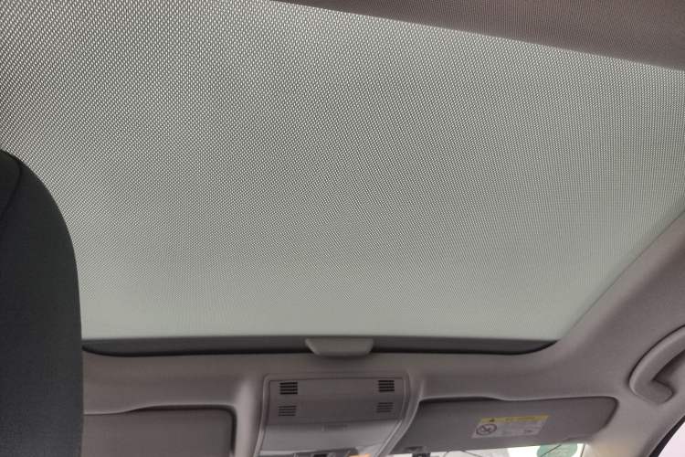 Used Volkswagen Golf 2020 280TSI DSG Luxury Edition Headliner