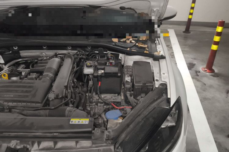Used Volkswagen Golf 2020 Zhiai Edition 280TSI DSG Comfort Model Engine Bay Left